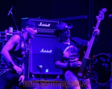 Arneitz 2017 - 3 -  0023